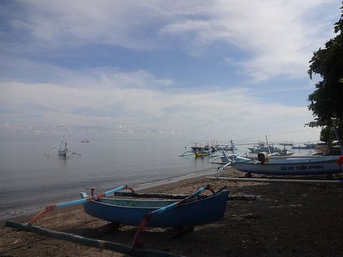 "Varen" sur Ernst Veenendaal