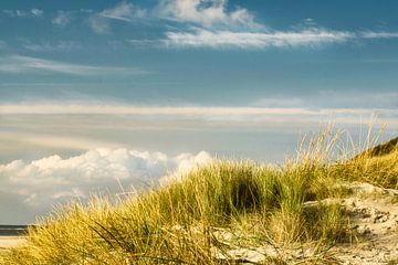 Op het Oostzeestrand met duinen van Martin Köbsch