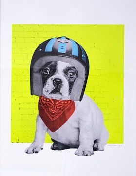 Easy Rider, 2016, (screen print) by Anne Storno