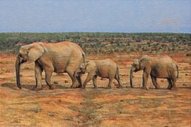 Afrikanische Elefanten in einer Reihe in Südafrika