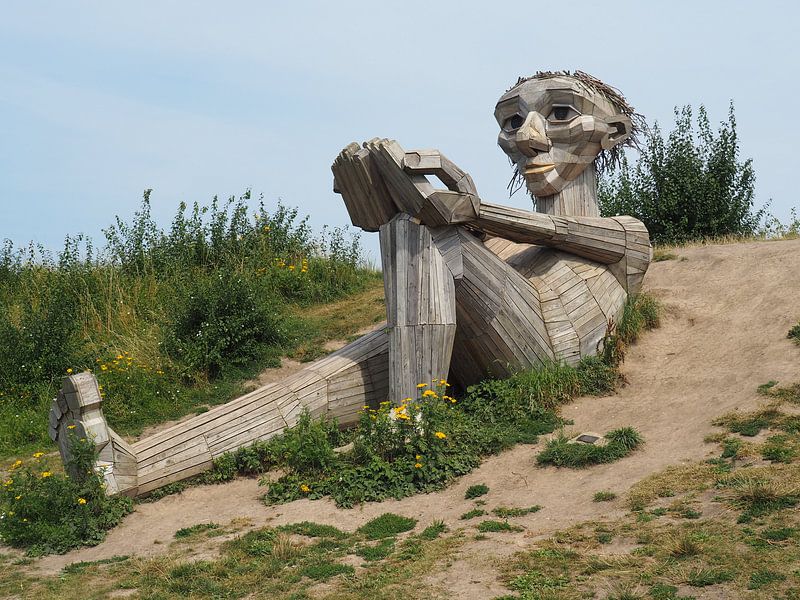 Reuzen Denemarken van Sander Fonteyn