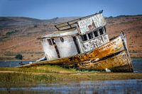 Old shipwreck on the dry in Point Reyes