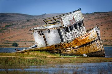 Oud scheepswrak op het droge in Point Reyes van Jan van Dasler