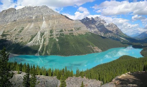 Peyto-See - Banff