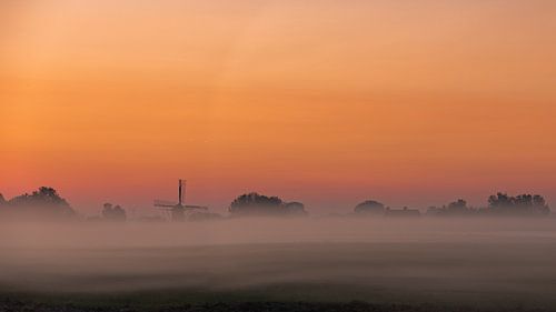Platteland op een miste ochtend