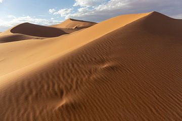 Woestijn zandduinen verlicht door prachtige warme ochtend licht. van Tjeerd Kruse