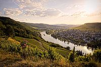 Moselle valley near Bernkastel-Kues
