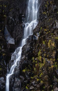 Levada Do Risco Madeira - 2 van Arjan Bijleveld