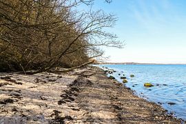 View of a beautiful beach on the Ostee in the sunshine by MPfoto71