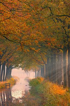 Herfst in Friesland van Henk Meijer Photography