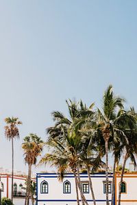 Ein tropisches Foto mit bunten Häusern und Palmen auf Gran Canaria