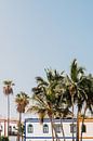 Een tropische foto van gekleurde huisjes en palmbomen op Gran Canaria van Yvette Baur thumbnail