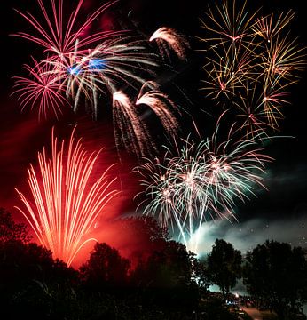 Groot vuurwerkspektakel in een park van ManfredFotos