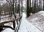 Sonsbeek park in Arnhem onder een dun laagje sneeuw van Petra Dielman thumbnail