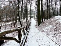 Sonsbeek park in Arnhem onder een dun laagje sneeuw