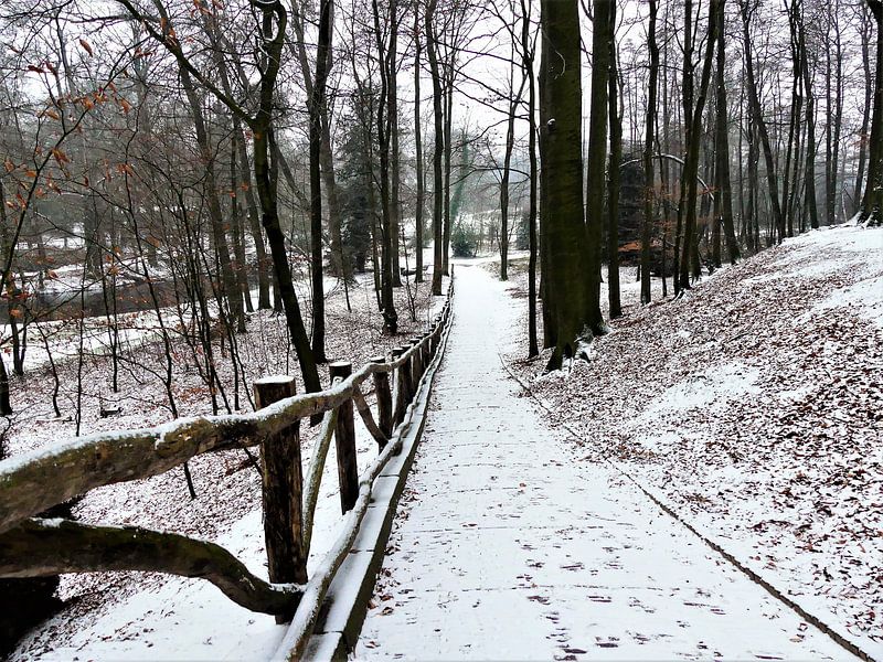 Sonsbeek park in Arnhem onder een dun laagje sneeuw van Petra Dielman