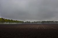Het licht breekt door