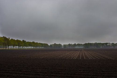 The light breaks through