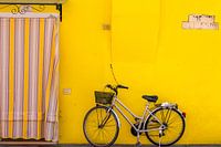 Yellow, yellow, yellow