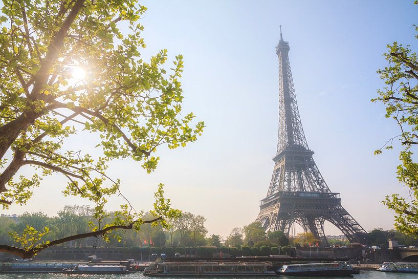 Spring sun Eiffel Tower by Dennis van de Water