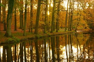 Landgoed Elswout von Michel van Kooten