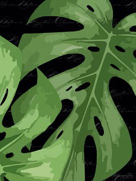 Mostera auf Schwarz mit Text Triptychon 1 v. 3