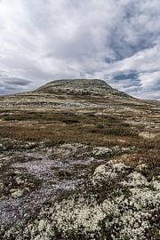 Norwegen | Berggipfel Søre Bølhøgda im Rondane-Gebirge von Dylan Winter Visuals