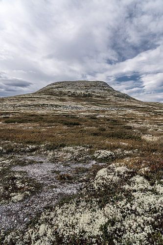 Norvège | Sommet du Søre Bølhøgda dans le massif du Rondane