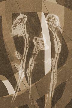 Bloemen, vormen en lijnen.  Moderne abstracte botanische geometrische kunst in beige en bruin van Dina Dankers
