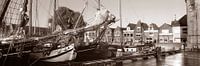Haven Hoorn bruinevloot