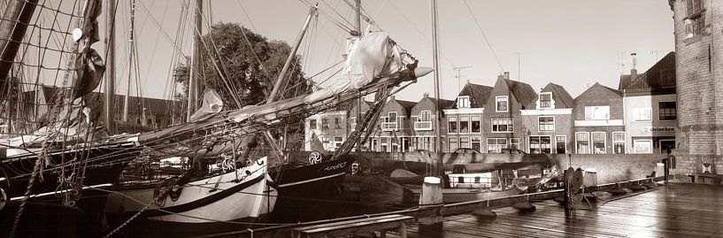 Port Hoorn brown fleet by Hans Albers