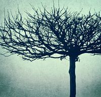 Plane tree - retro design