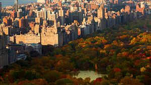 Herfstig Central Park