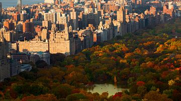 Herbst Central Park von Freek van den Bergh