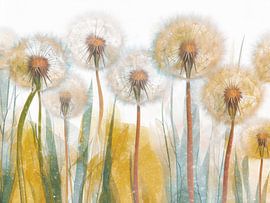 Blühender Löwenzahn 1