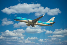 KLM PH BCK, Boeing 737-800, der Albatros