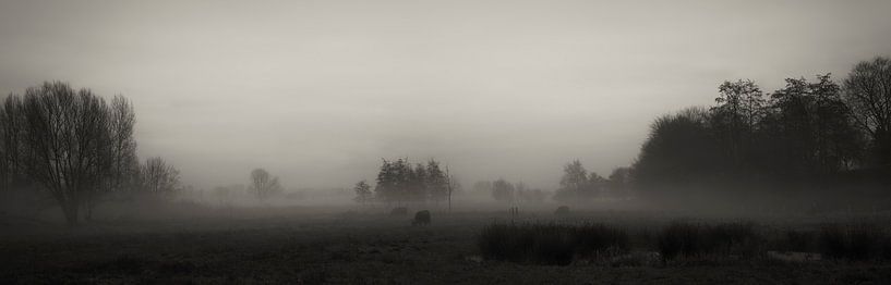 Runderen in avondschemering par jan van de ven