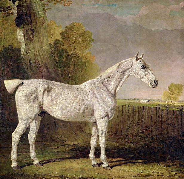 Benjamin Marshall,Bony Grey Nag van finemasterpiece