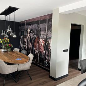 Klantfoto: Koeien in oude koeienstal van Inge Jansen, als naadloos behang
