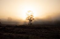 zonsopkomst Loenermark van Gerard Hol thumbnail