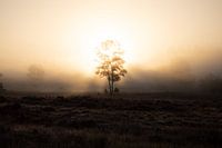 zonsopkomst Loenermark