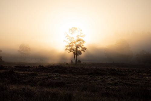Sonnenaufgang Loenermark