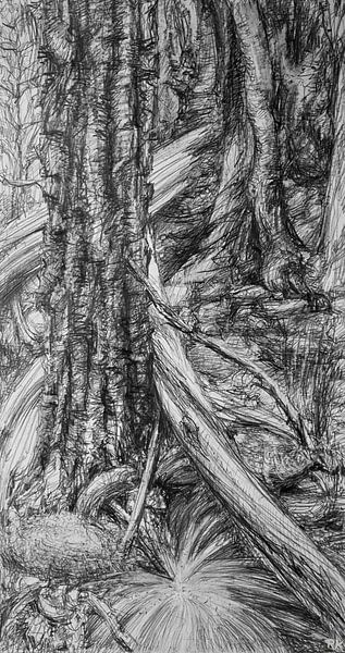 Zwart wit natuur Bos van KB Prints