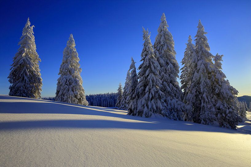 Feldberg met sneeuw van Patrick Lohmüller
