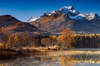 Herbst am Silsersee von Daniela Beyer Miniaturansicht