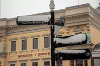 wintersweer in Utrecht