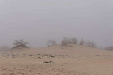 Mist, zand en rijp van Ans Bastiaanssen