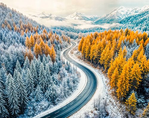 Routes hivernales à travers une forêt de montagne parsemée de mélèzes orange