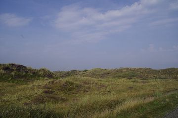 Duin terrein van Ad Steenbergen