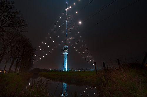 Der größte Weihnachtsbaum der Welt leuchtet wieder über Utrecht von Mel Boas